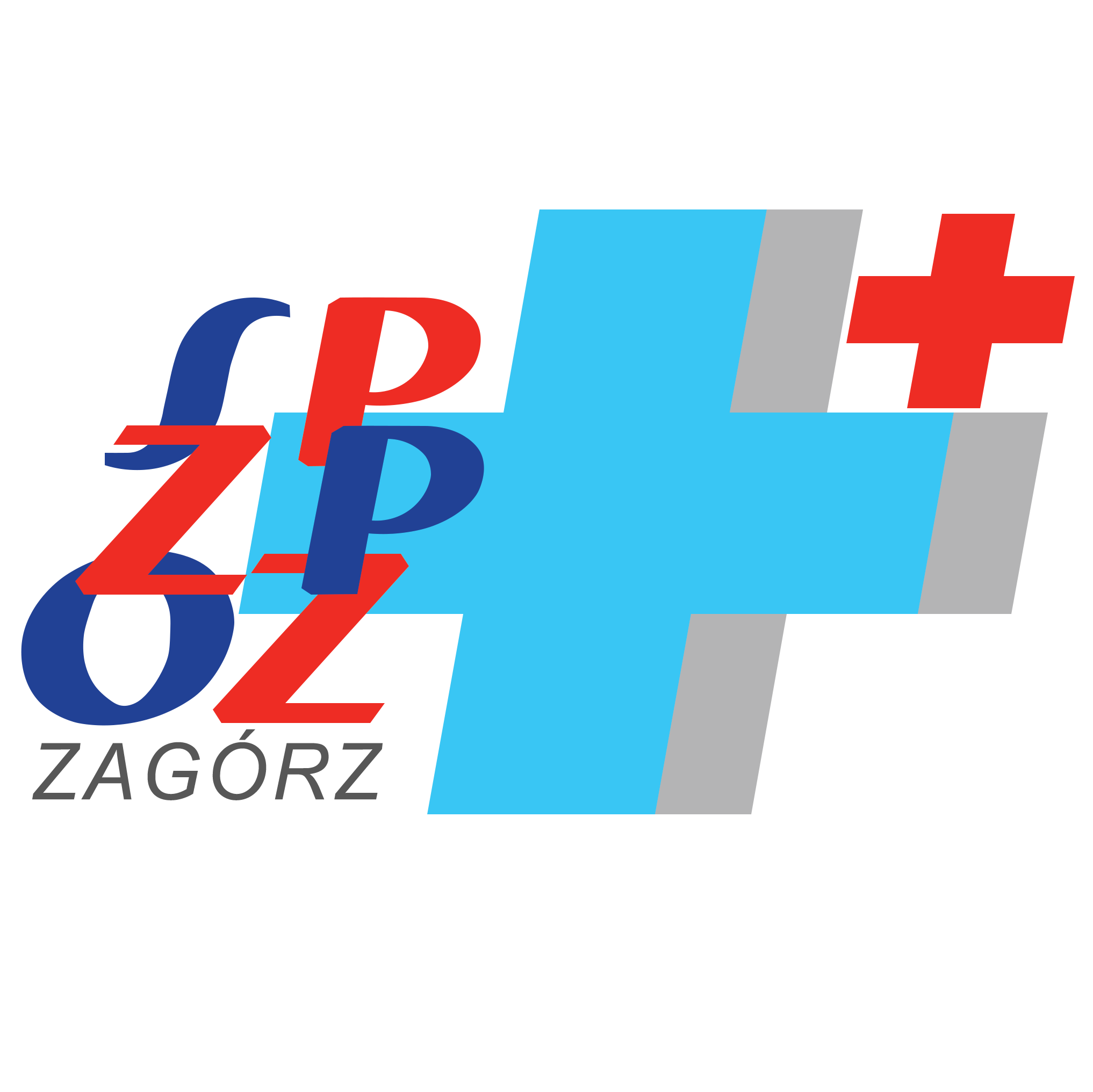 Logo jednostki